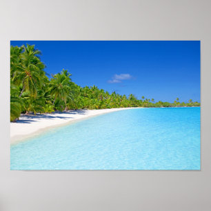 Üppiges grünes Palme-tropisches Insel-Paradies Poster