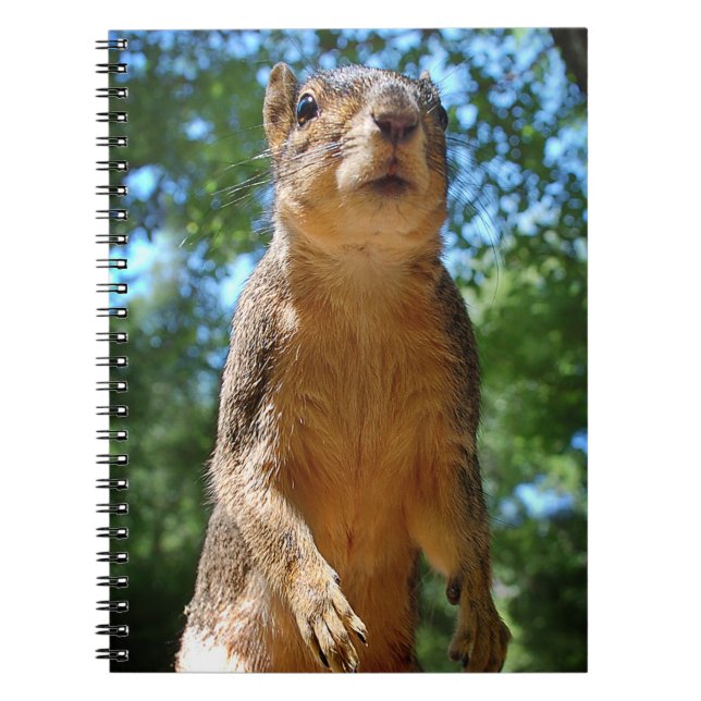 Upright Squirrel Notizblock (Vorderseite)