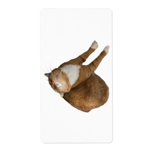 Upside-Down Sunshine (Vorne)