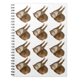 Upside-Down Sunshine Cat Notizblock