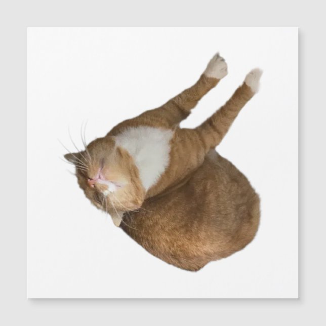 Upside-Down Sunshine Magnetkarte (Vorderseite)