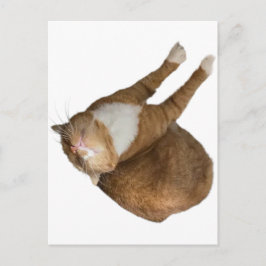 Upside-Down Sunshine Postkarte