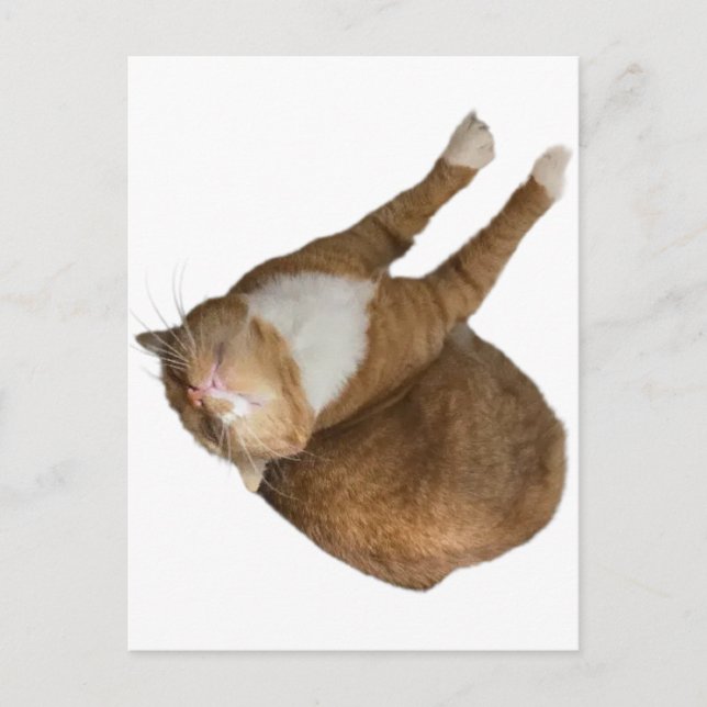 Upside-Down Sunshine Postkarte (Vorderseite)