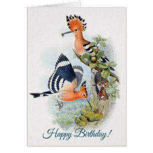 Upupa Epops Joyeux anniversaire