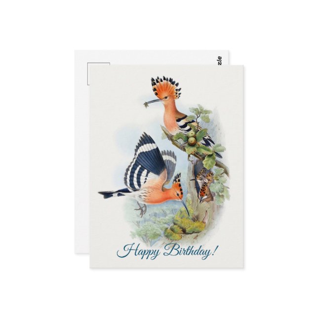 Upupa Epops Postkarte (Vorderseite/Rückseite Beispiel)