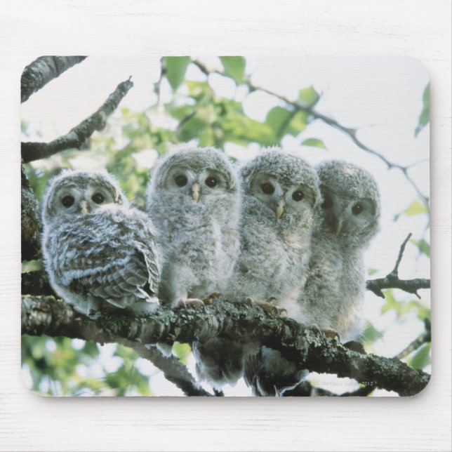 Uralhütten. Ikeda-machi, Hokkaido, Japan Mousepad (Vorne)