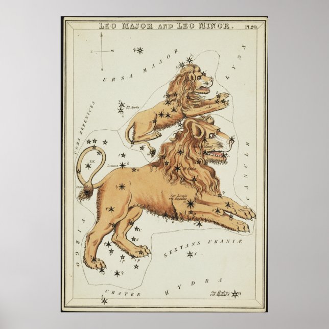 Urania-Spiegel - Leo Major und Leo Minor Poster (Vorne)