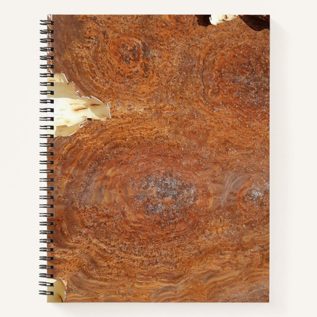 Urban Decay Theme - Rusty Metal Spiral Notebook Notizbuch (Vorderseite)