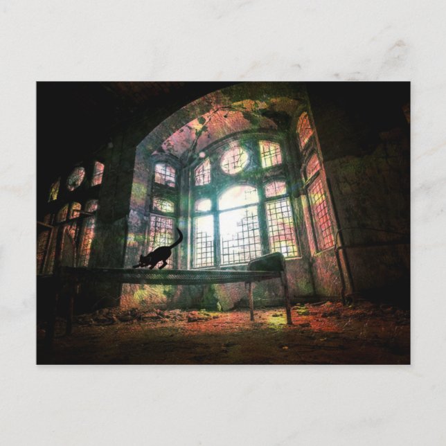 Urban Decke Alt gesteinigtes Glas Schwarze Katze Postkarte (Vorderseite)