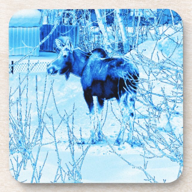 Urban Moose Getränkeuntersetzer (Vorderseite)