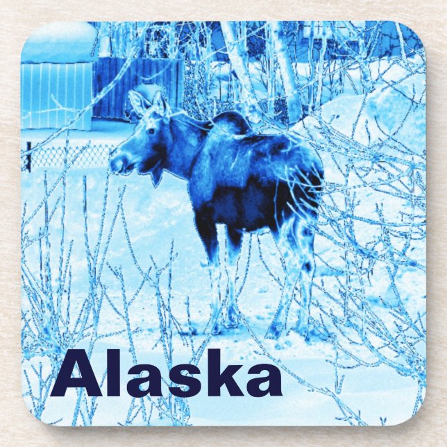 Urban Moose Untersetzer (Vorderseite)