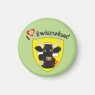 Uri Schweiz Suisse Svizzera Svizra Magnet