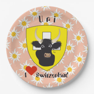 Uri Schweiz Suisse Svizzera Svizra Teller