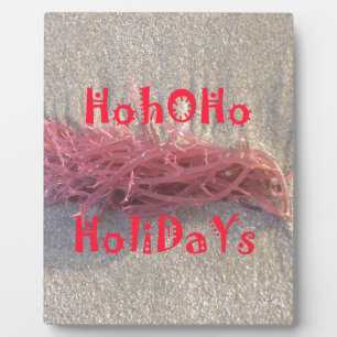 Urlaub aus der Beach Collection. Fotoplatte