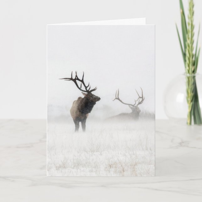 Urlaubskarte "Lost in Storm" Karte (Vorderseite)