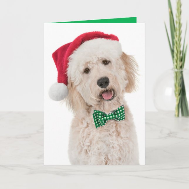 Urlaubskarte mit Goldener Doodle Karte (Vorderseite)