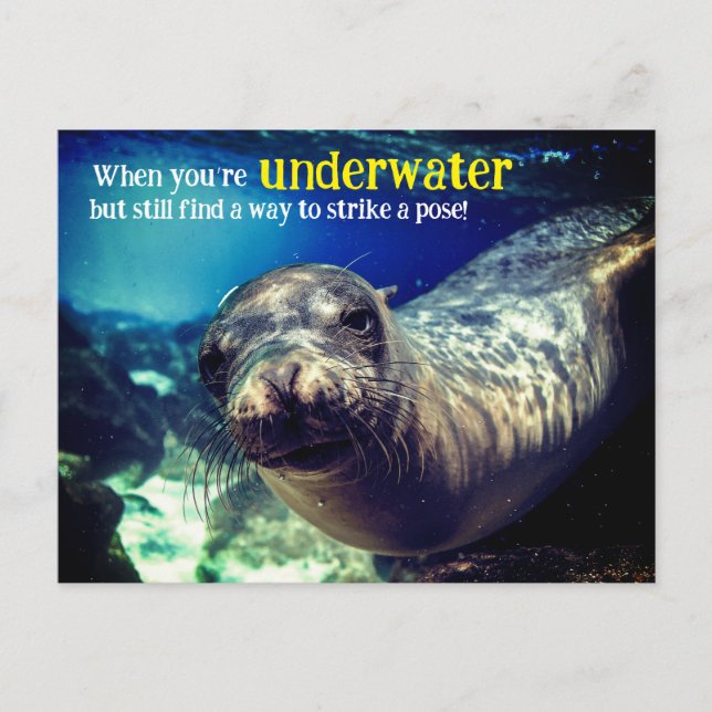 Urlaubspostkarte Feiertagspostkarte (Vorderseite)