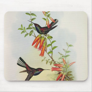 Urochroa Bougieri Mousepad