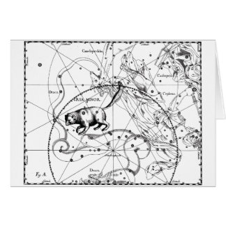 Ursa Minderjähriger