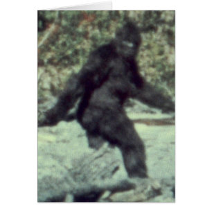 URSPRUNG 1967 BIGFOOT SASQUATCH FOTO