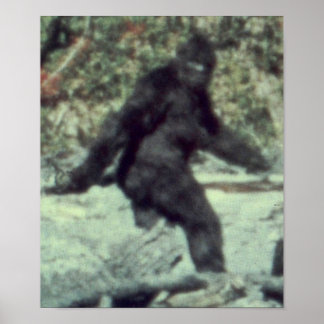 URSPRÜNGLICHES FOTO VON 1967 POSTER