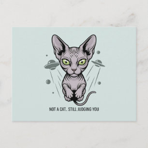 Urteilende Sphynx-Katze in Weltraum-Kunst Postkarte