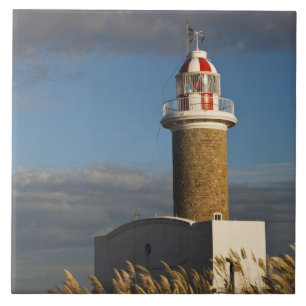 Uruguay, Departamento Montevideo, Montevideo. 3 Fliese