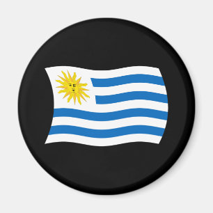 Uruguay Flag Magnet
