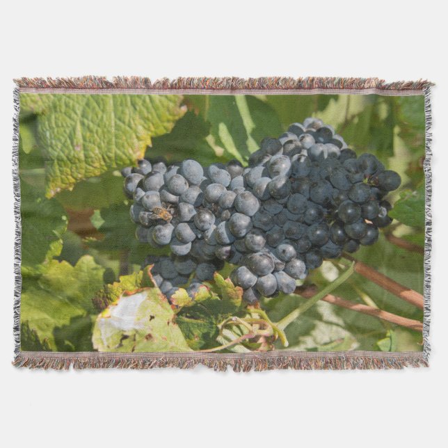 Uruguay, Montevideo, Colon Area. Bodegas Decke (Vorderseite)