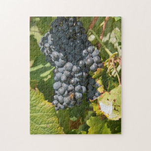 Uruguay, Montevideo, Colon Gebiet. Bodegas