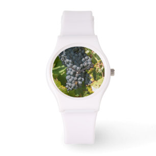 Uruguay, Montevideo, Colon-Gebiet. Weinkeller Armbanduhr