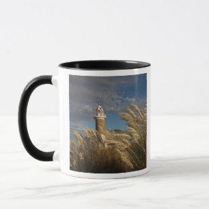 Uruguay, Montevideo Department, Montevideo.2 Tasse