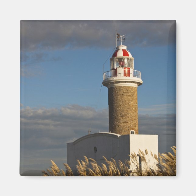 Uruguay, Montevideo Department, Montevideo. 3 Magnet (Vorne)