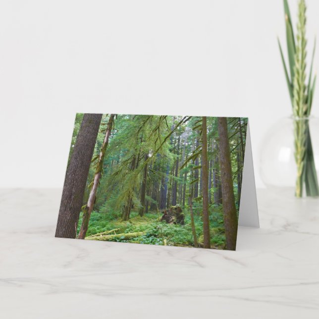 Urwald Karte (Vorderseite)