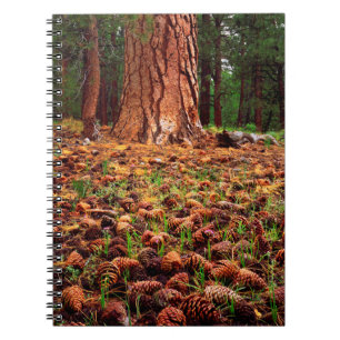 Urwüchsiger Ponderosa-Baum mit Kiefernzapfen Notizblock