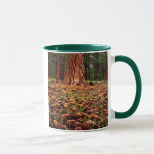 Urwüchsiger Ponderosa-Baum mit Kiefernzapfen Tasse