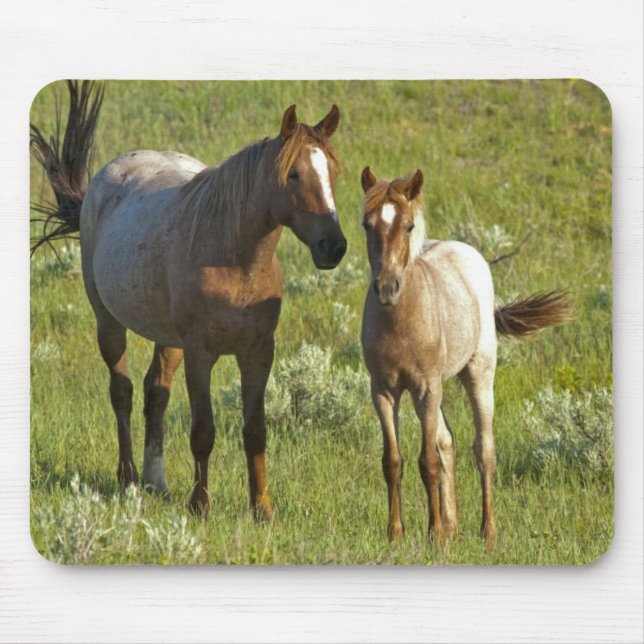 US35 CHA0209.jpg Mousepad (Vorne)