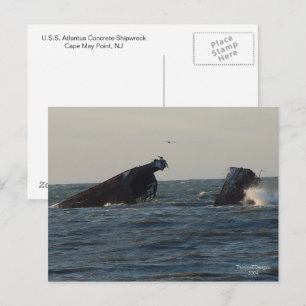 US Atlantus Concrete Shipwreck, NJ Postcard Postkarte