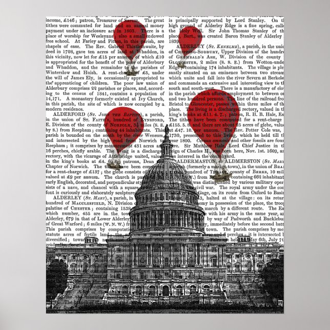 US Capitol Building and Red Hot Air Balloons Poster (Vorne)