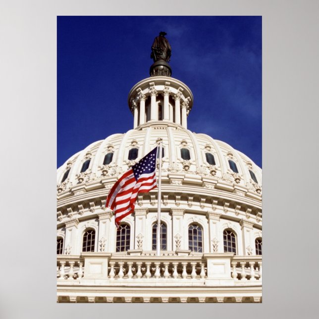 US capitol building, Washington DC Poster (Vorne)