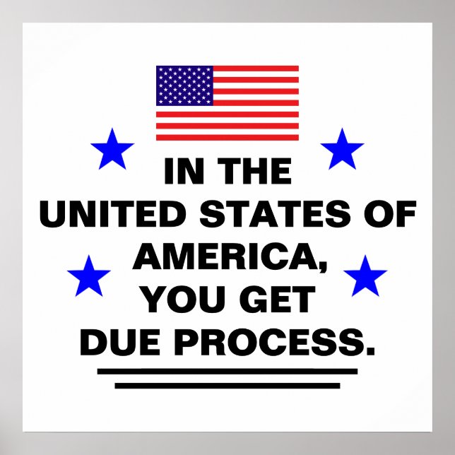 US Due Process Poster (Vorne)