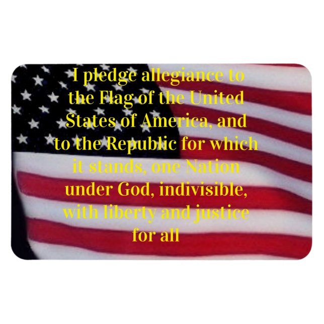 US-Flagge mit Plebemagnet Magnet (Horizontal)