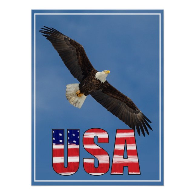 US-Flagge und Bald-Adler Poster (Vorderseite)