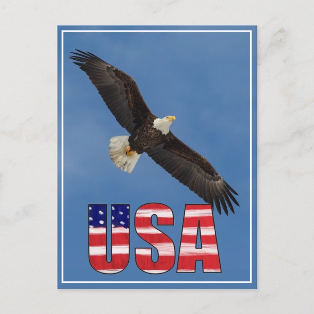 US-Flagge und Bald-Adler Postkarte (Vorderseite)