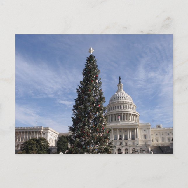 US Hauptstadt Hill Weihnachtsbaum Feiertagspostkarte (Vorderseite)