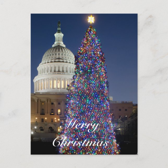 US-Hauptstadt Weihnachtsbaum Postkarte (Vorderseite)