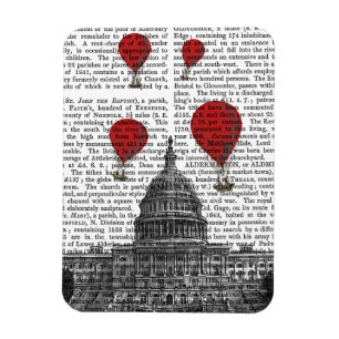 US-Hauptstadts-Gebäude und Rot - Heißluft-Ballone Magnet