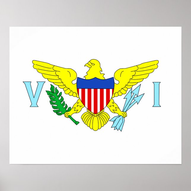 US-Jungfrau Poster (Vorne)