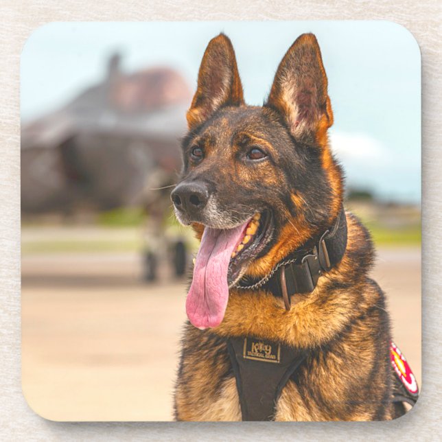 US-MILITÄRHUNDE GETRÄNKEUNTERSETZER (Vorderseite)