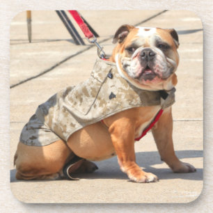 US-MILITÄRHUNDE GETRÄNKEUNTERSETZER